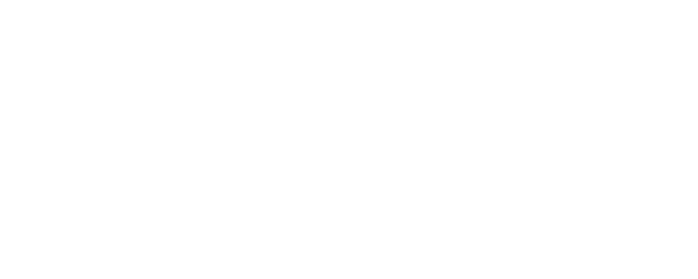 Brand Master Academy